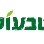 טבעול