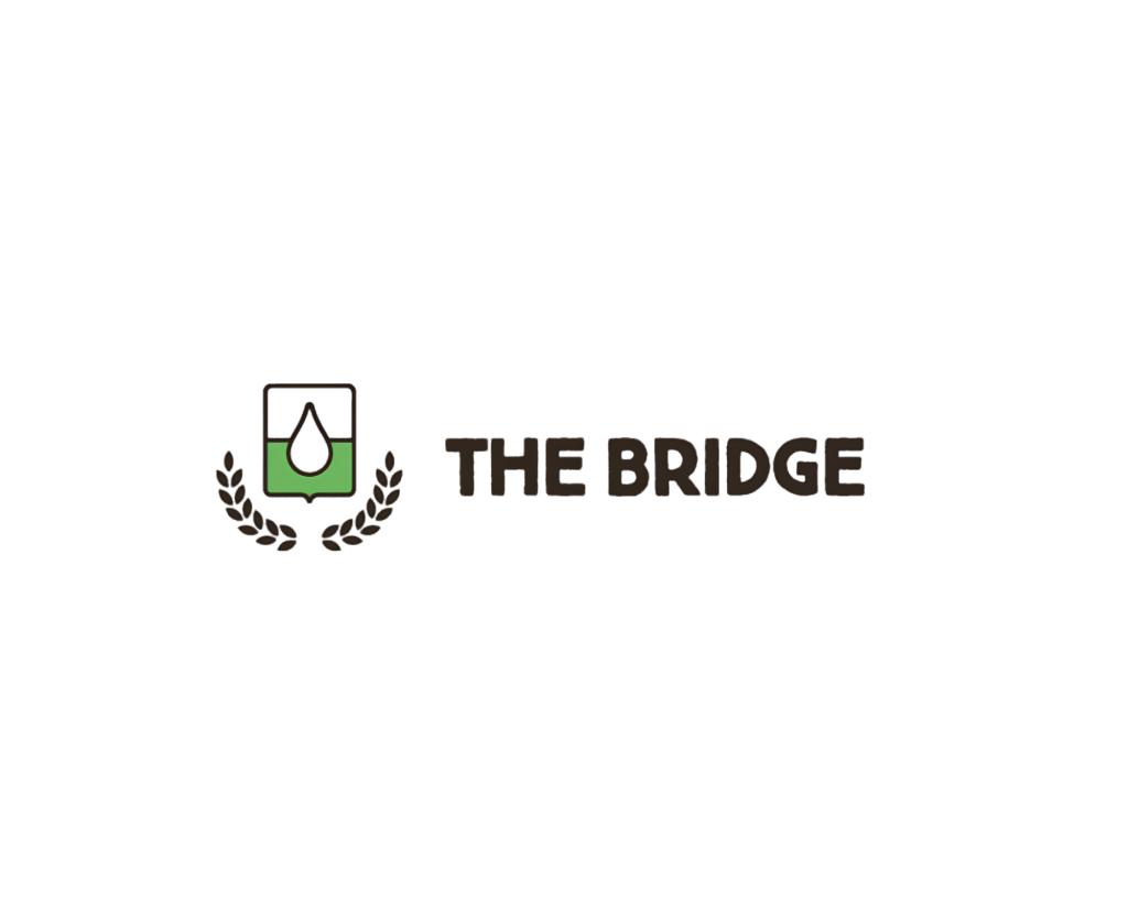 THE BRIDGE